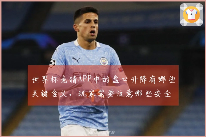 世界杯竞猜APP中的盘口升降有哪些关键含义，玩家需要注意哪些安全合规问题？