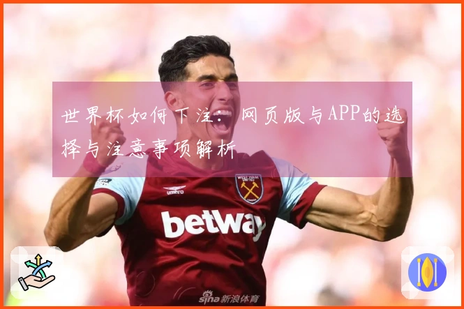 世界杯如何下注：网页版与APP的选择与注意事项解析