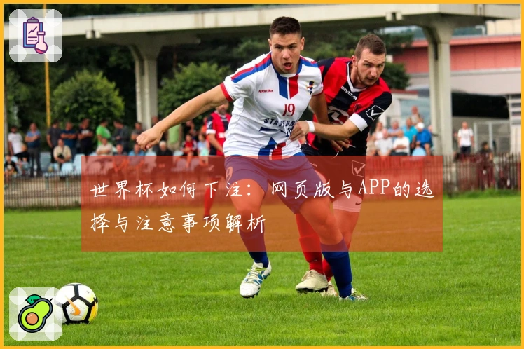 世界杯如何下注：网页版与APP的选择与注意事项解析